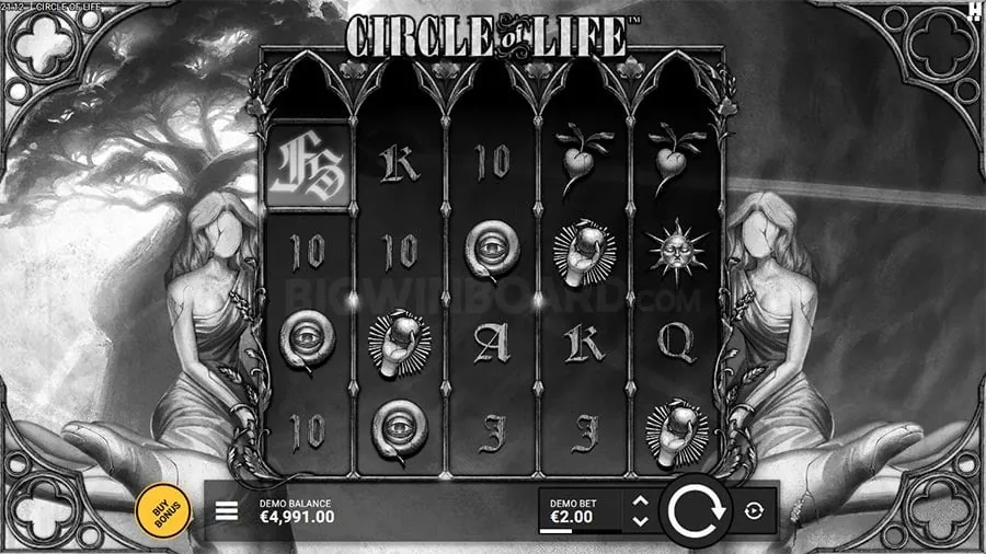 Live Casino Experience